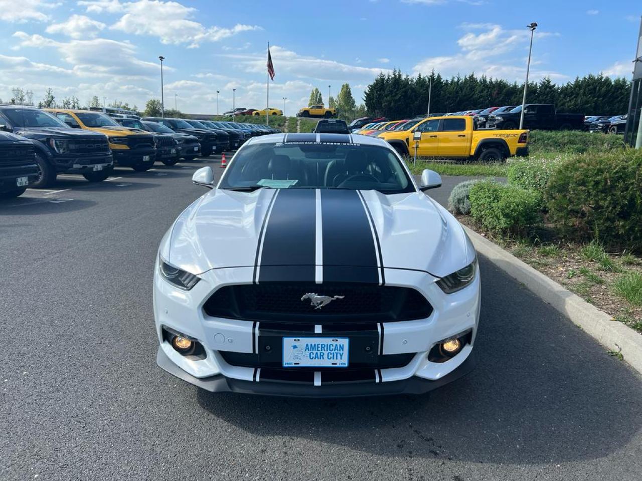 FORD MUSTANG GT V8 5.0L BVA