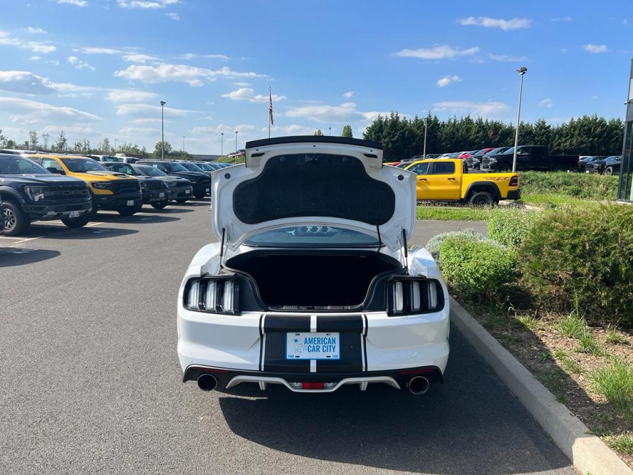 FORD MUSTANG GT V8 5.0L BVA