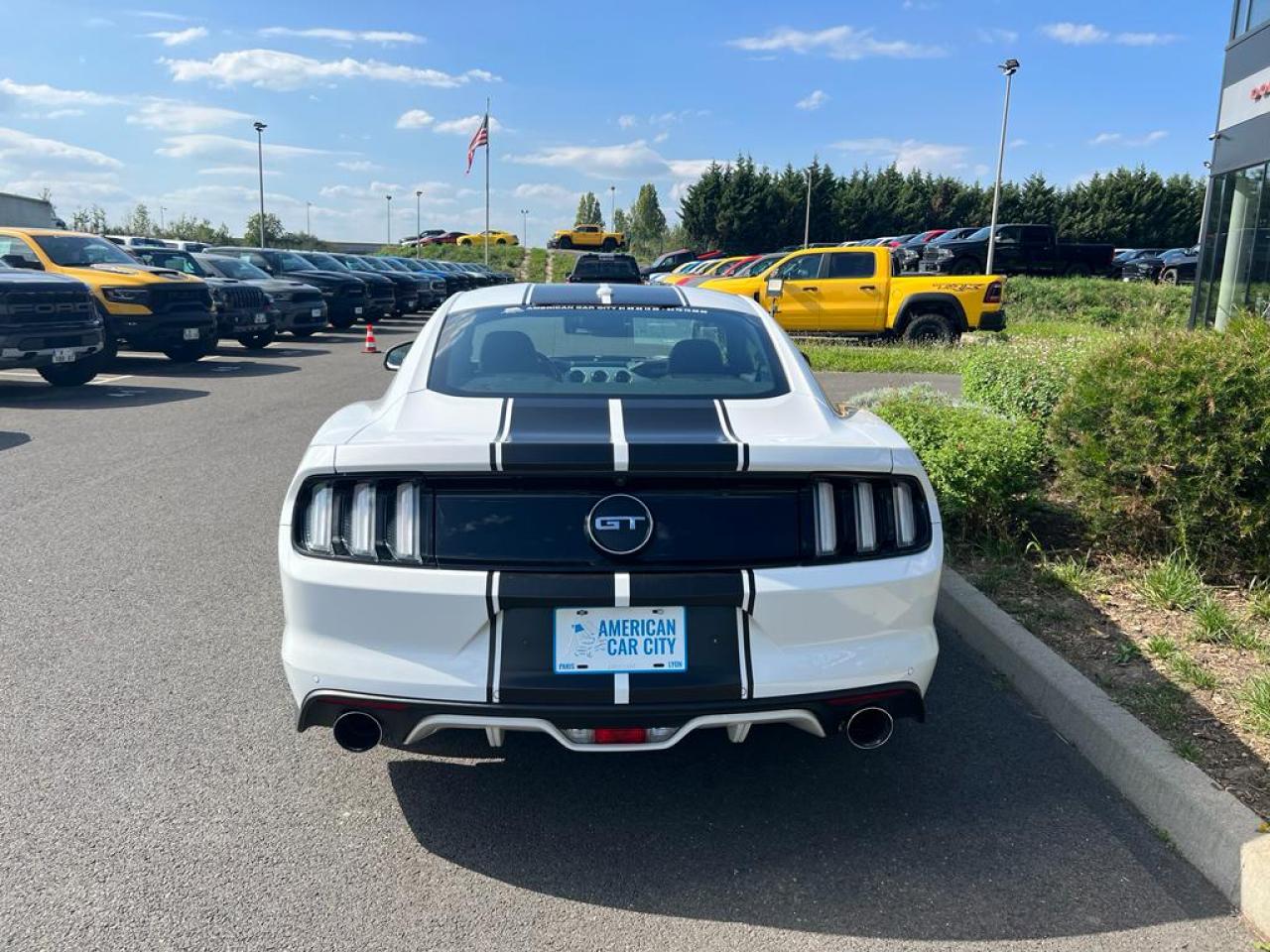 FORD MUSTANG GT V8 5.0L BVA