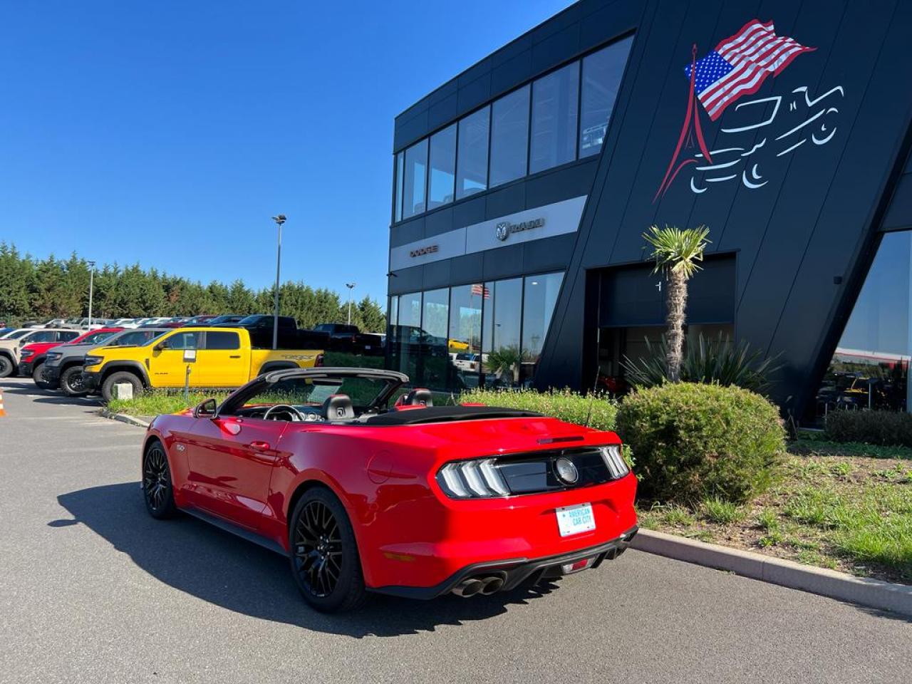 FORD MUSTANG GT CABRIOLET V8 5.0L BVA10