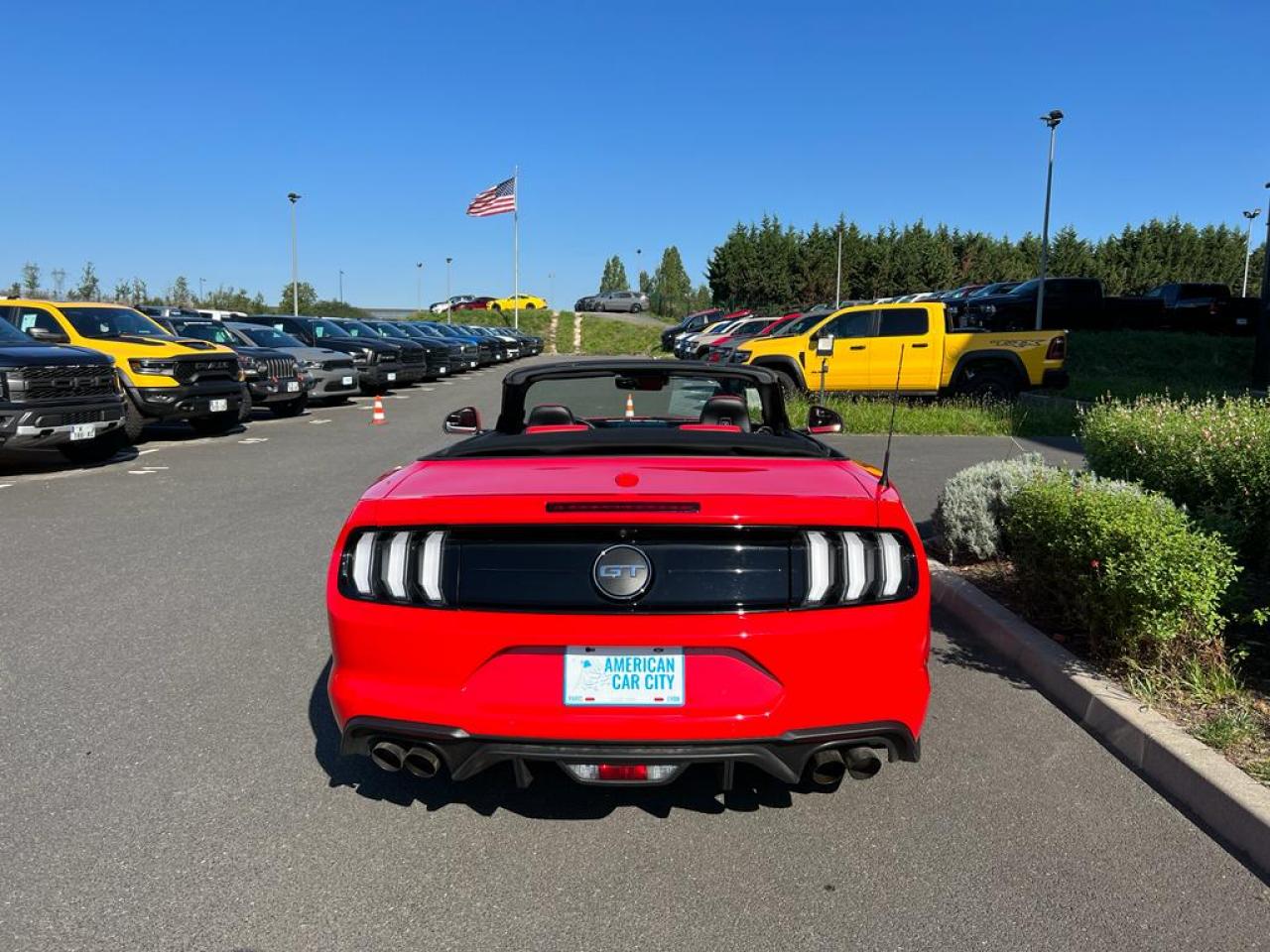 FORD MUSTANG GT CABRIOLET V8 5.0L BVA10