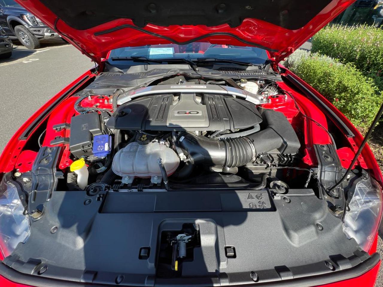 FORD MUSTANG GT CABRIOLET V8 5.0L BVA10