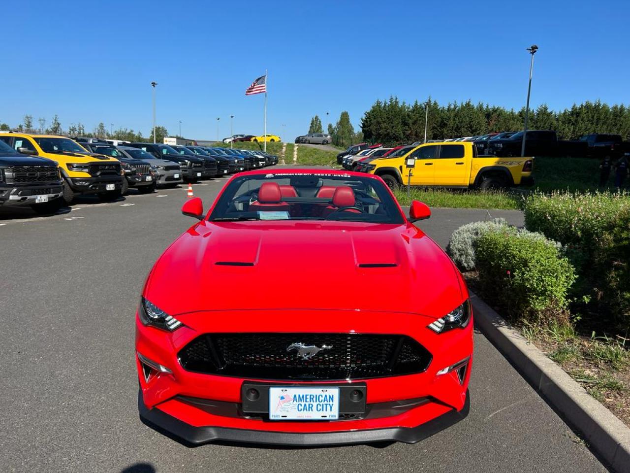 FORD MUSTANG GT CABRIOLET V8 5.0L BVA10