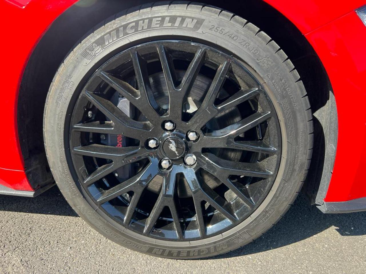 FORD MUSTANG GT CABRIOLET V8 5.0L BVA10
