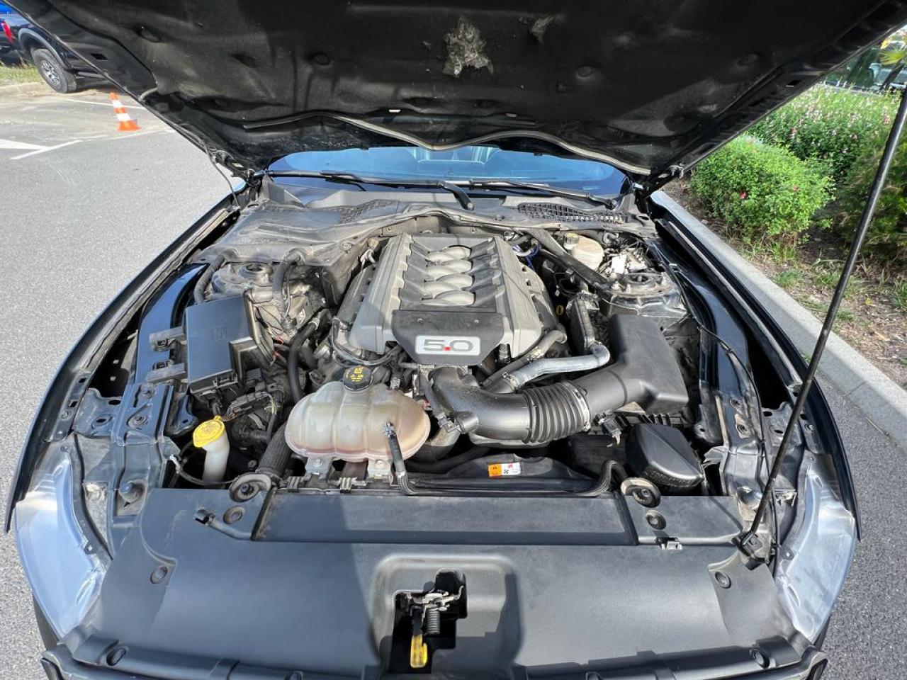 FORD MUSTANG GT V8 5.0L BVA