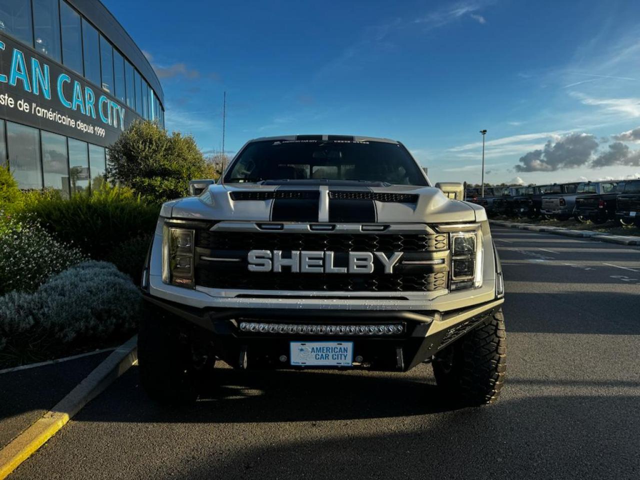 FORD F150 Raptor Shelby Baja