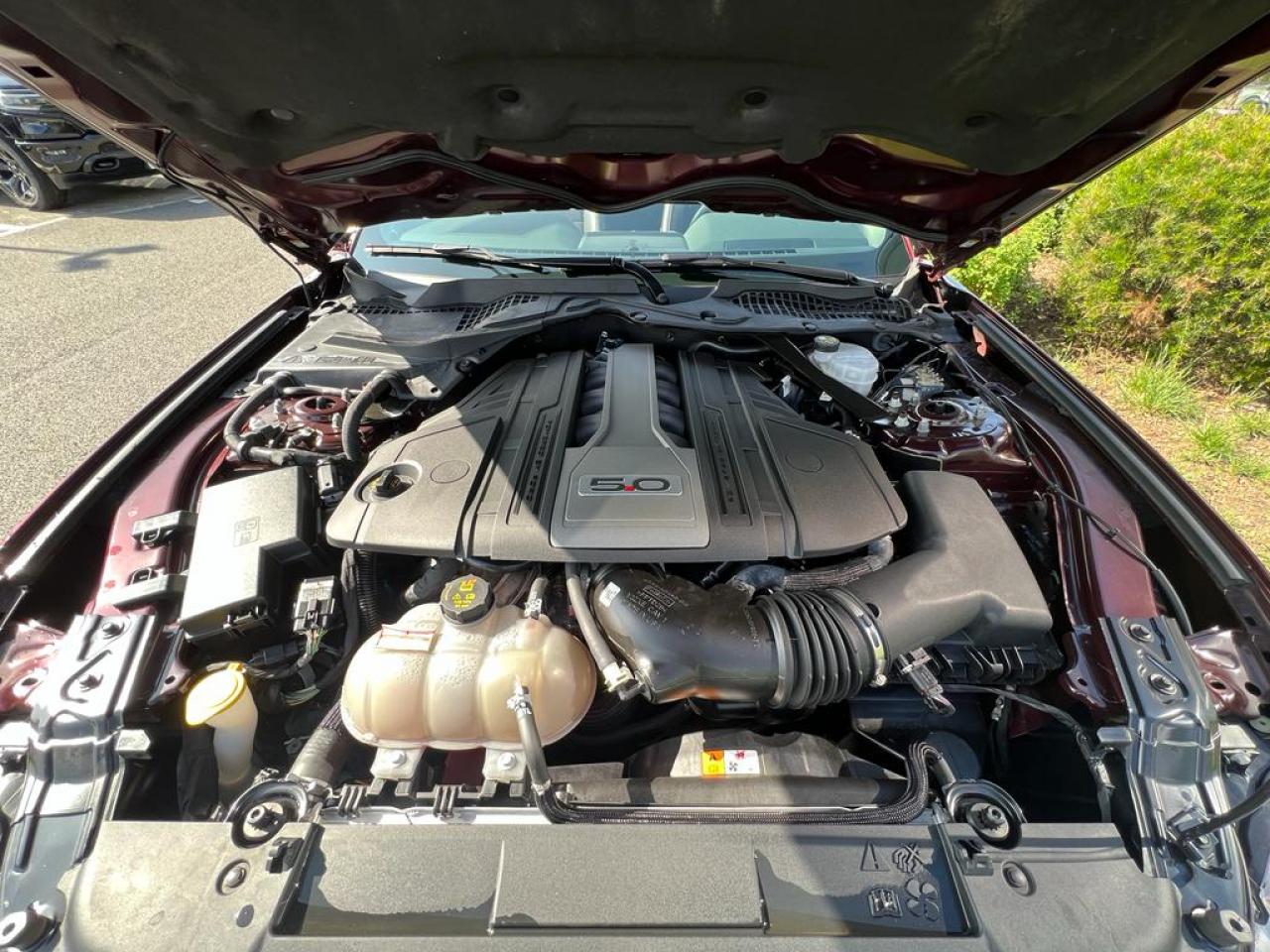 FORD MUSTANG GT CABRIOLET V8 5.0L BVM