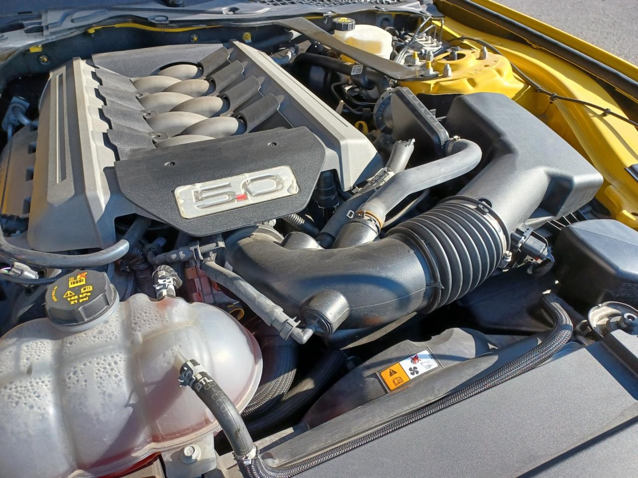 FORD MUSTANG GT V8 5.0L BVA