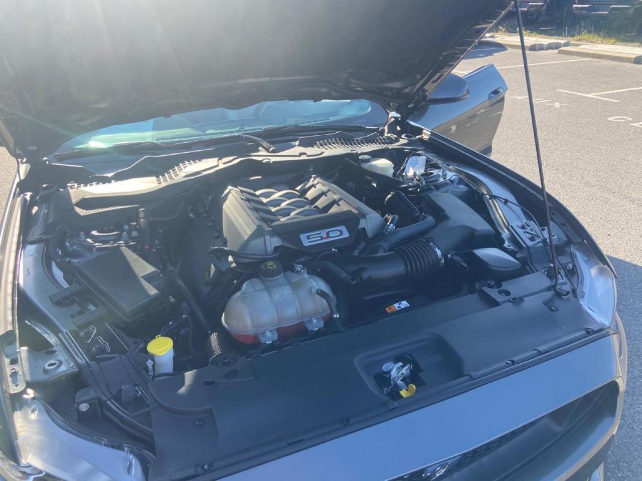FORD MUSTANG GT CABRIOLET V8 5.0L BVA