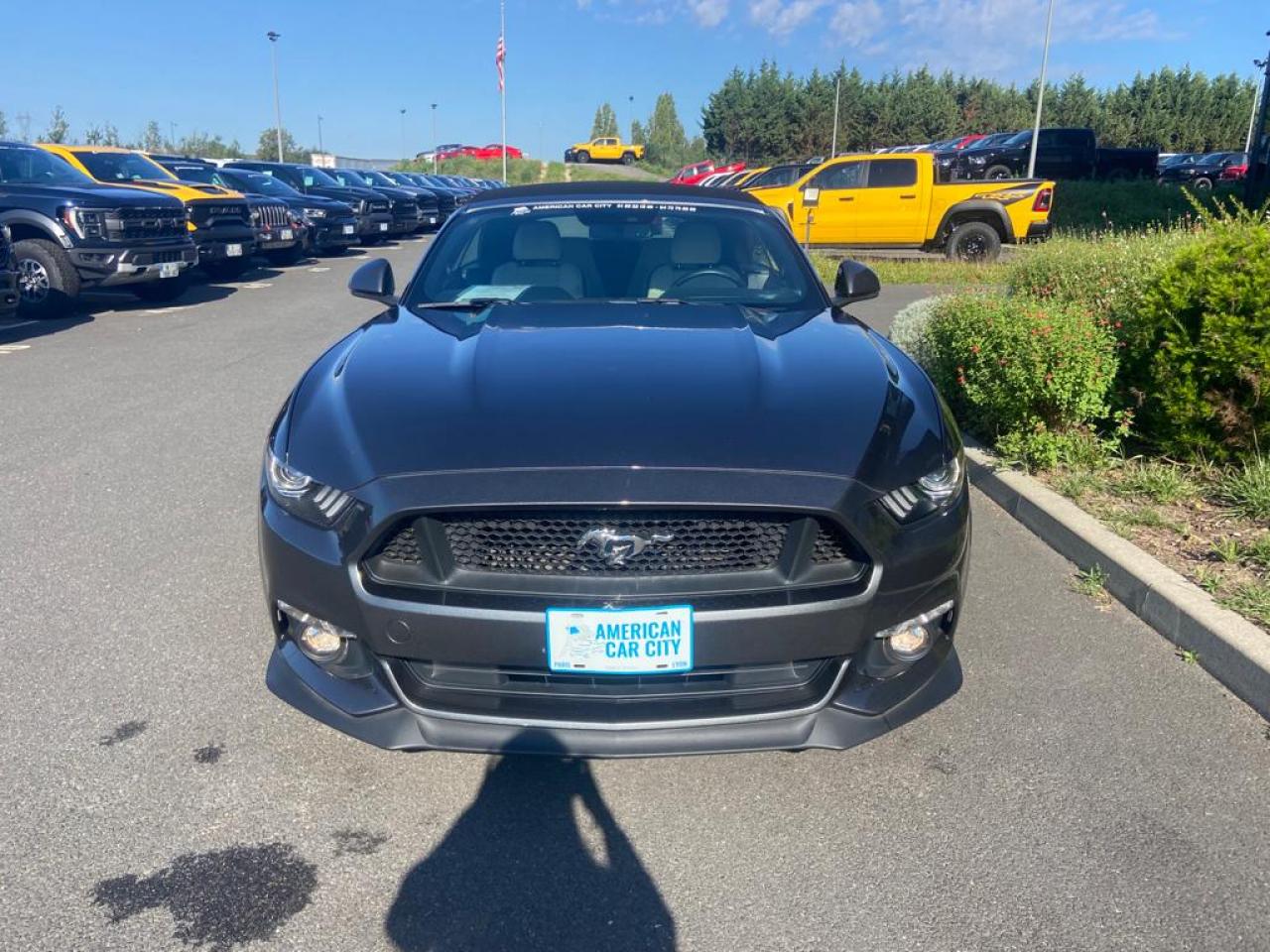 FORD MUSTANG GT CABRIOLET V8 5.0L BVA