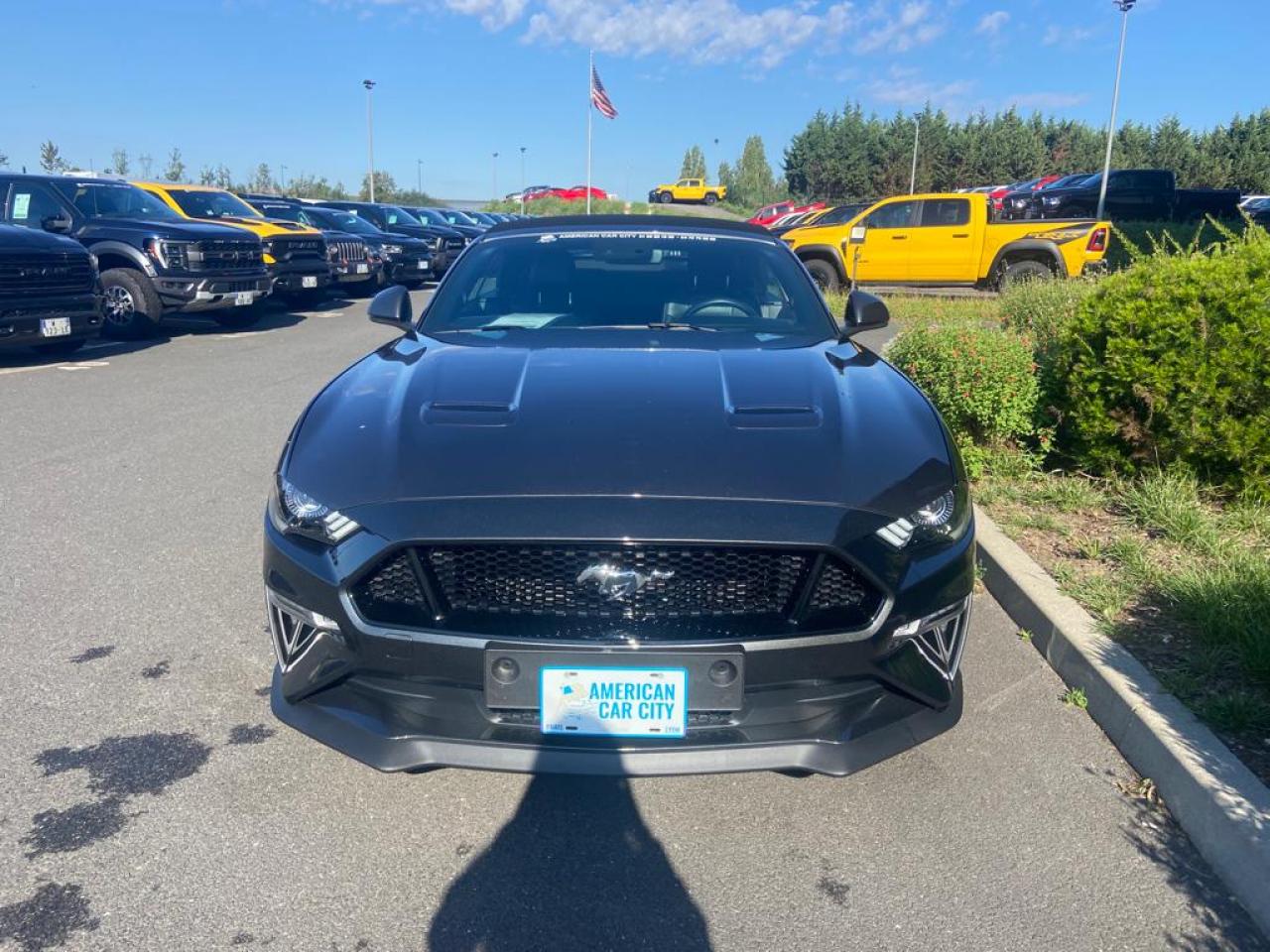 FORD MUSTANG GT CABRIOLET V8 5.0L BVA10
