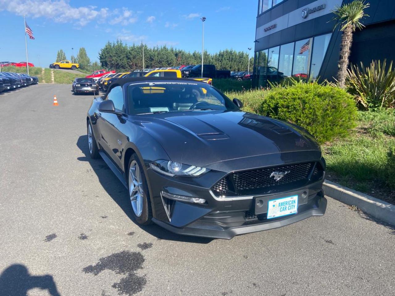 FORD MUSTANG GT CABRIOLET V8 5.0L BVA10