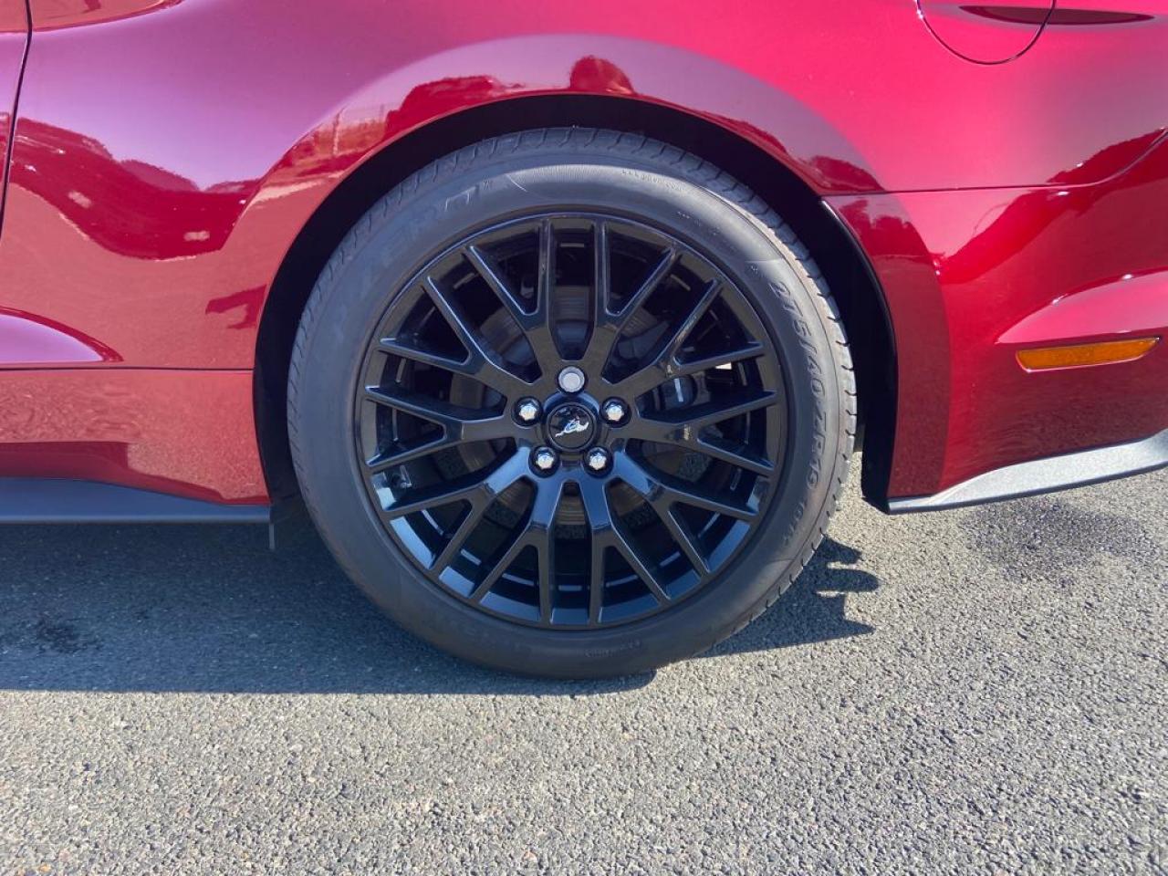 FORD MUSTANG GT V8 5.0L BVA