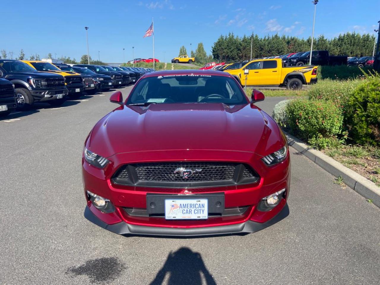 FORD MUSTANG GT V8 5.0L BVA