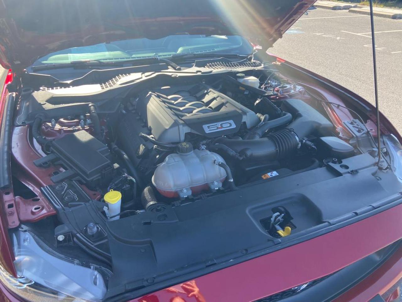 FORD MUSTANG GT V8 5.0L BVA