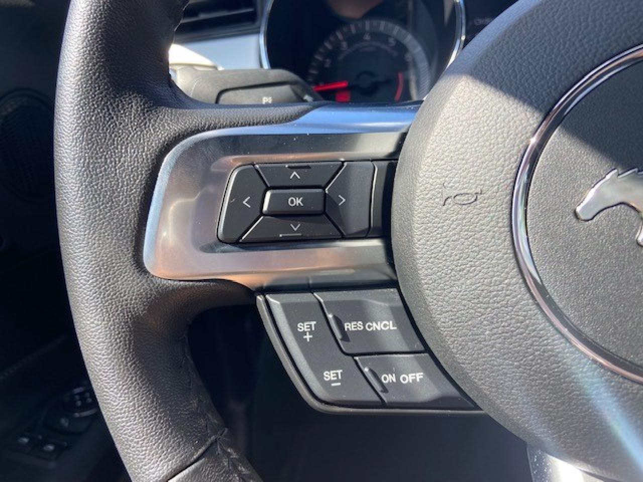 FORD MUSTANG GT V8 5.0L BVA